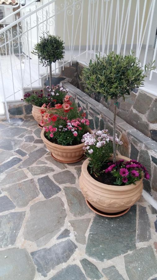 Nn Spata Rooms & Suites Near Athens Airport Εξωτερικό φωτογραφία