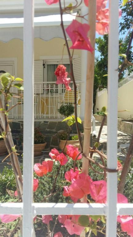 Nn Spata Rooms & Suites Near Athens Airport Εξωτερικό φωτογραφία